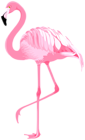 Pink Flamingo PNG Clipart