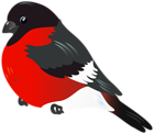 Red Bird PNG Clipart Image