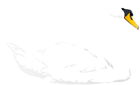 Swan Transparent PNG Clip Art Image