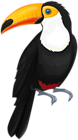 Toucan Bird PNG Clipart