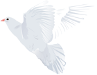 White Dove Transparent PNG Clip Art Image