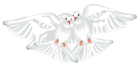 White Doves Transparent PNG Clipart