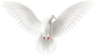 White Flying Dove PNG Clipart