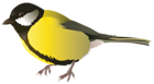 Yellow Bird PNG Clipart Image