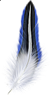 Blue and White Feather Clipart
