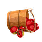 Bucket with Apples Transparent Clipart