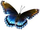 Beautiful Blue and Brown Butterfly PNG Clipart