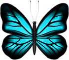 Beautiful Butterfly Blue PNG Clipart