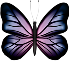 Beautiful Butterfly Blue Pink PNG Clipart