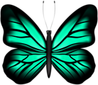 Beautiful Butterfly Emerald PNG Clipart