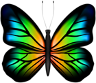 Beautiful Butterfly Multicolor PNG Clipart