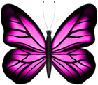 Beautiful Butterfly Pink PNG Clipart