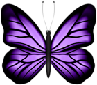 Beautiful Butterfly Purple PNG Clipart