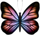 Beautiful Multicolored Butterfly PNG Clipart