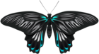 Black Blue Butterfly PNG Clip Art Image