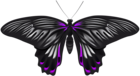 Black Purple Butterfly PNG Clip Art Image