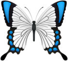 Blue Butterfly Deco Clipart Image
