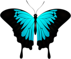 Blue Butterfly Decorative Transparent Image