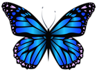 Blue Butterfly PNG Clipar Image