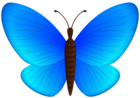Blue Butterfly PNG Clipart