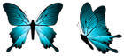 Blue Butterfly PNG Clipart Image