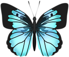 Blue Butterfly PNG Transparent Clipart