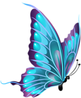 Blue Butterfly Transparent PNG Clipart