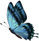 Blue Flying Butterfly PNG Clipart