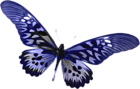 Blue Transparent Butterfly Clipart