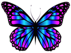 Blue and Purple Butterfly PNG Clipar Image