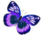 Blue and Purple Butterfly PNG Clipart