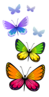 Butterflies Composition PNG Clipart Image