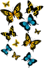 Butterflies PNG Clipart Picture