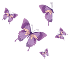 Butterflies Vector PNG Clipart