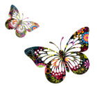Butterflies Vector PNG Picture