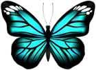 Butterfly Blue Transparent PNG Clipart