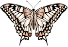 Butterfly Clip Art PNG Transparent Image