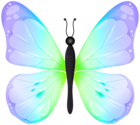 Butterfly Colorful PNG Transparent Clipart