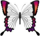 Butterfly Deco Clipart Image