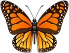 Butterfly Decorative PNG Image
