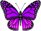 Butterfly Decorative Transparent Image