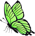 Butterfly Flying Green PNG Clipart