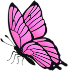 Butterfly Flying Pink PNG Clipart