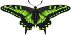 Butterfly Green Black Clip Art Image