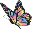 Butterfly Multicolor Clipart Image