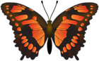 Butterfly Orange Transparent PNG Clip Art