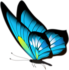 Butterfly PNG Clip Art