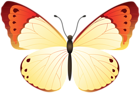 Butterfly PNG Clip Art Image