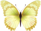 Butterfly PNG Clip Art Transparent Image