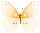 Butterfly PNG Clipar Image